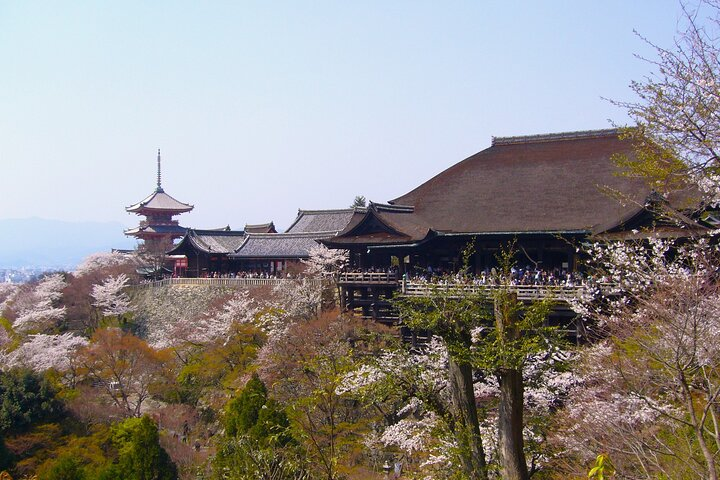 Kyoto in a Day by eBike: The Best Bits Tour (East Course) - Photo 1 of 8