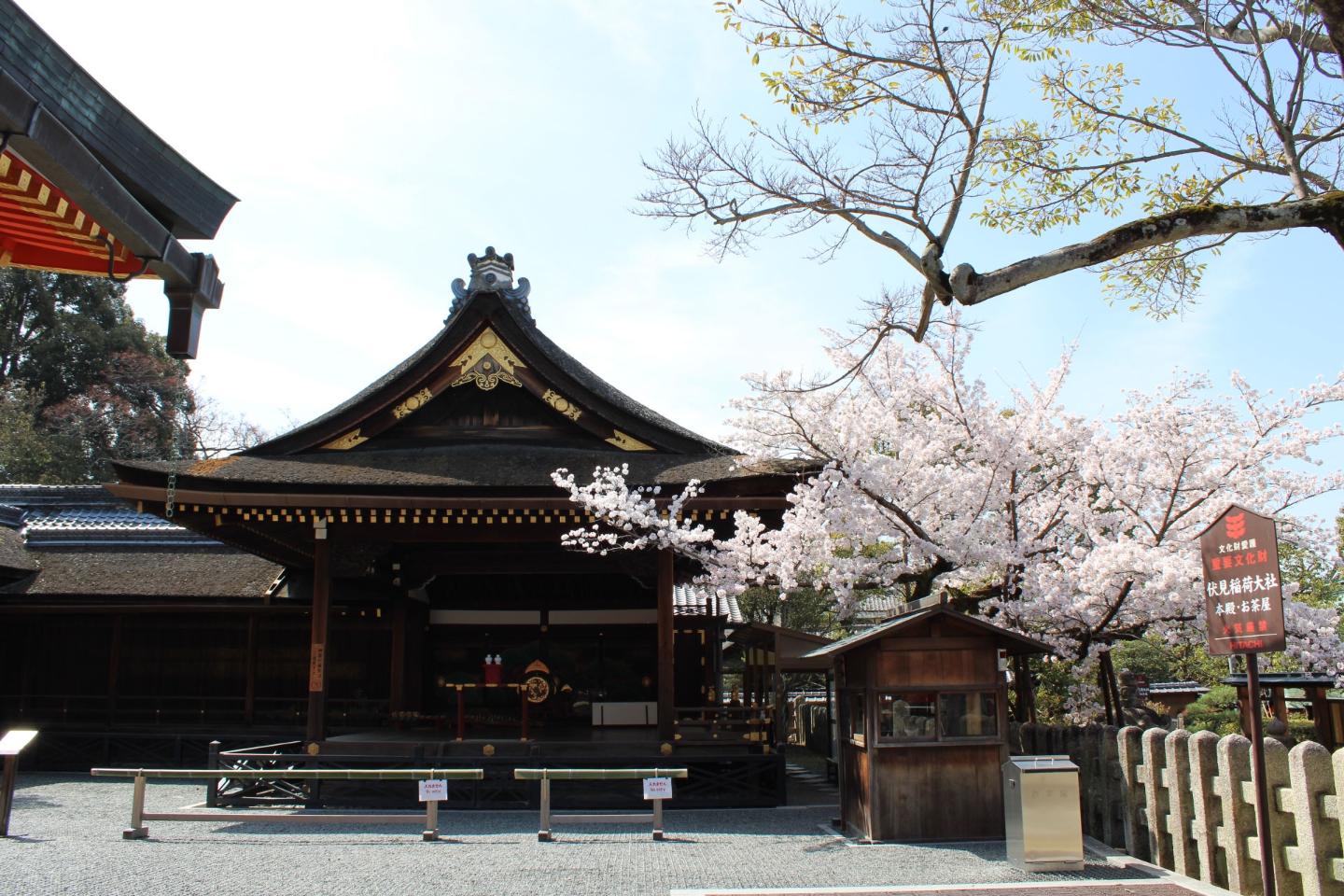 Kyoto 1 Day Golden Route Bus Tour - Photo 1 of 10