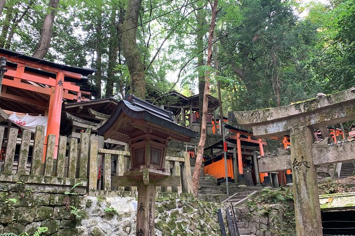 Kyoto private tour (Shore excursion available from Osaka or Kobe port) - Photo 1 of 5