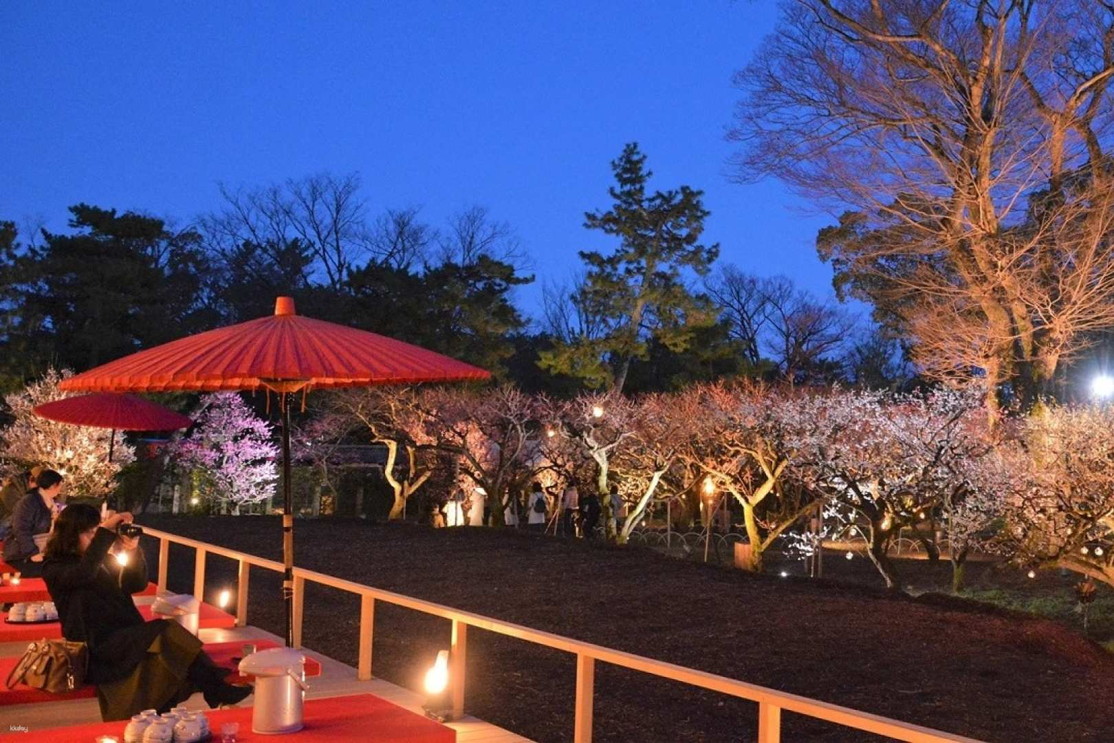 Kyoto Regular Sightseeing Bus Tour | Kitano Tenmangu Shrine Plum Garden "Flower Garden" Illumination and Maiko Evening, Shozan Garden - Photo 1 of 10