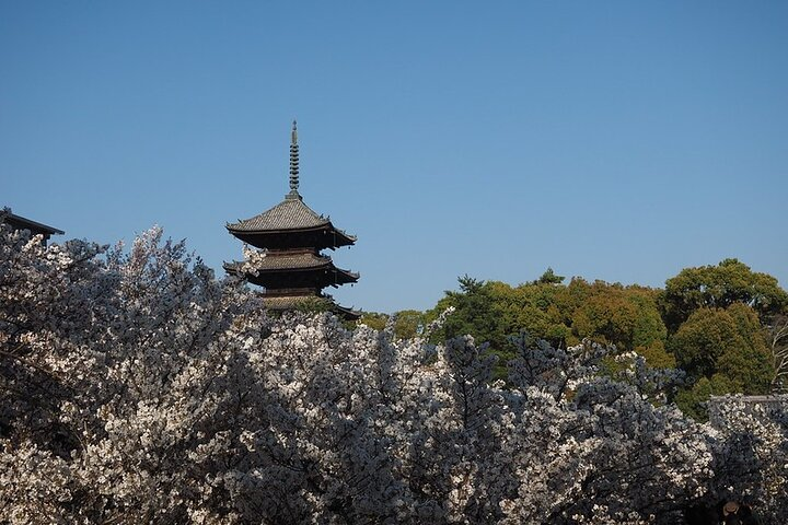 Kyoto's World Heritage Walking Tour from Kyoto st. - Photo 1 of 14