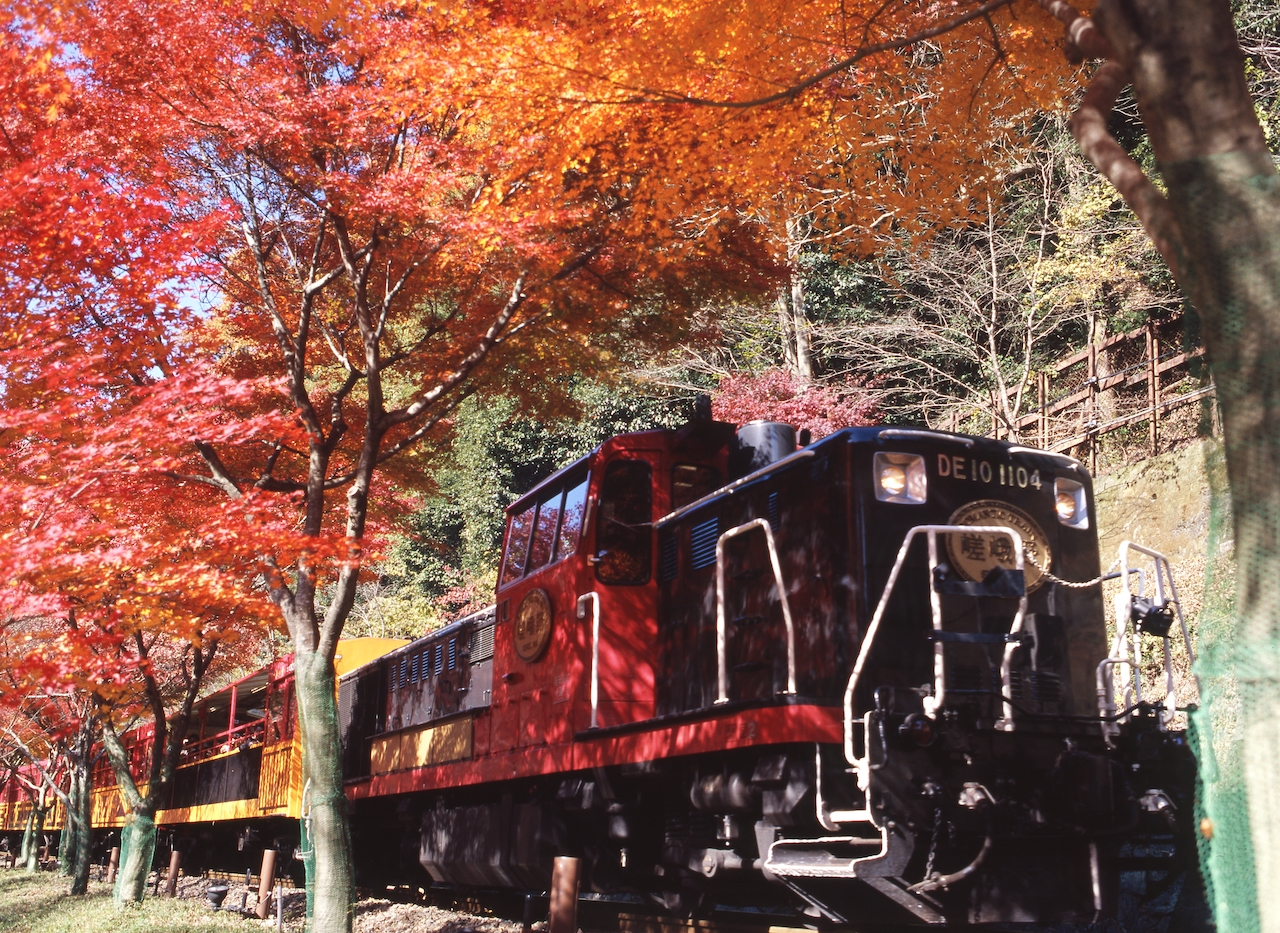 KYOTO Sightseeing “OKOSHI” Bus（SW）Sagano Romantic Train and Hozugawa River Boat Ride★With English・Chinese・Korean audio guide★ - Photo 1 of 12