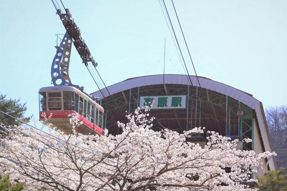 Kyushu Beppu & Yufuin: 1-Day Bus Pass from Fukuoka Airport - Photo 1 of 10