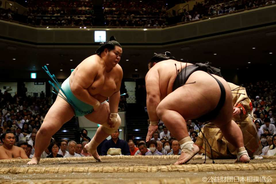Kyushu (Fukuoka) Grand Sumo Viewing Tour in November 2025 - Photo 1 of 6