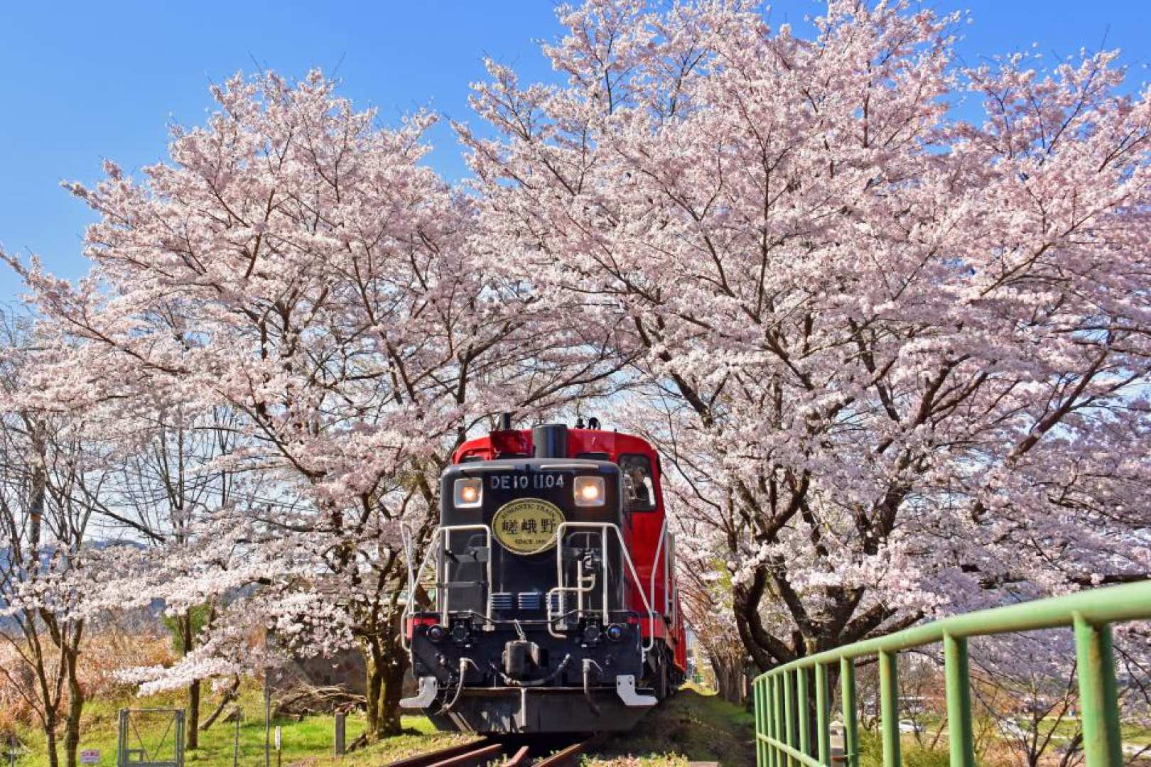 [Guaranteed Departure for Solo Traveler] | Kyoto Arashiyama Half-Day Tour -Sagano Scenic Railway & Hozugawa River Boat Ride & Kyoto Horse Carriage - Photo 1 of 10