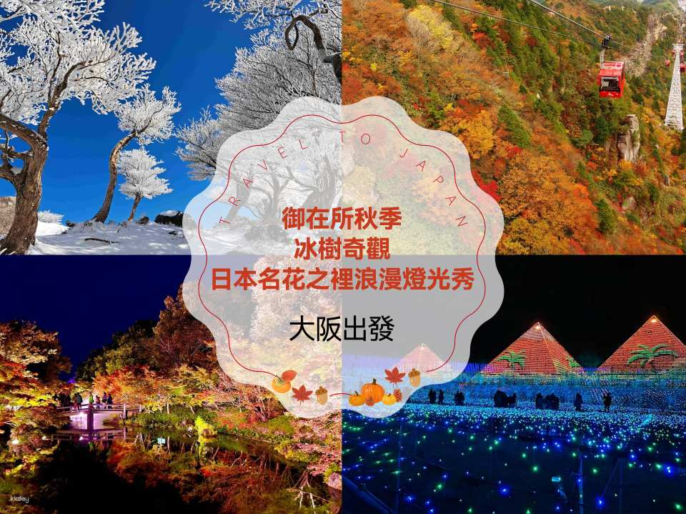 [Limited-Time Offer] Romantic Light Show Day Tour: Gozaisho Fall Maple & Winter Frozen Tree, Nabana no Sato & Mitsui Outlet Park | Japan (Departure from Osaka) - Photo 1 of 10