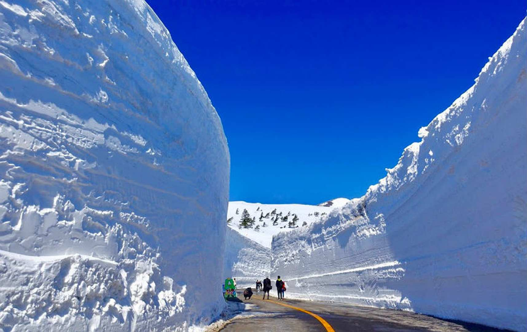 【Limited Time Only】Tohoku Cherry Blossom Day Tour: Zao Snow Wall, Shiraishigawa Embankment Hitome Senbonzakura, and Zao Kokeshi Museum (Departing from Sendai) - Photo 1 of 10