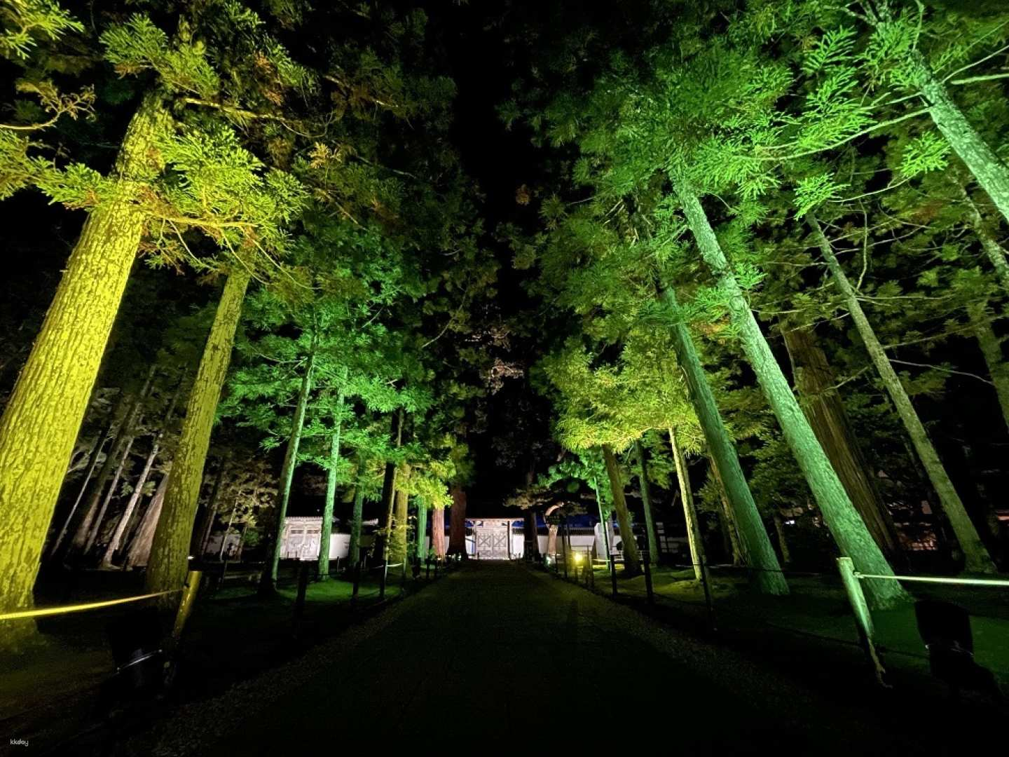 NAKED Matsushima - National Treasure Zuiganji Temple Autumn Night Visit Ticket (Miyagi) - Photo 1 of 7