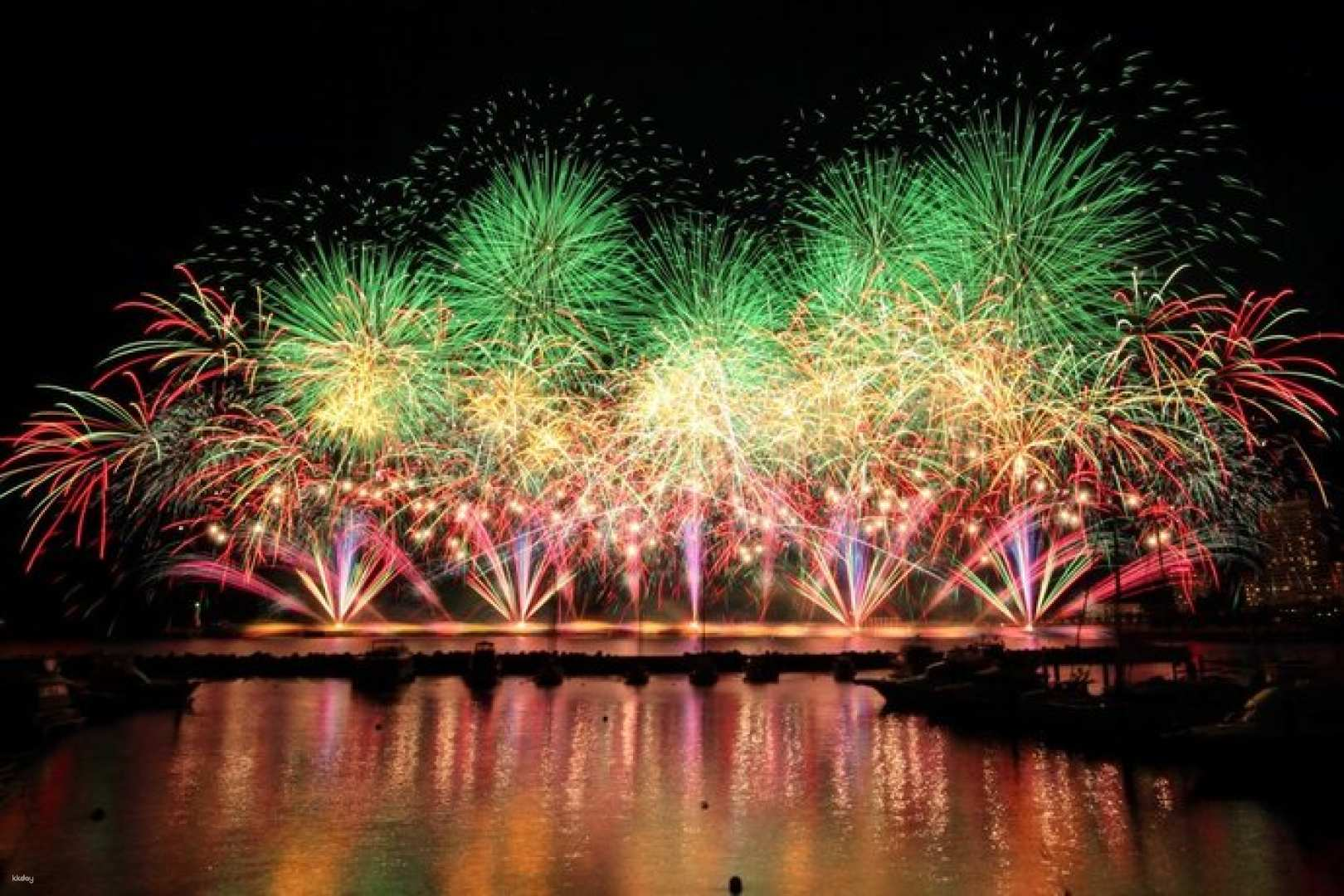 Atami Fireworks Festival & Izu Panorama Park Tour from Tokyo (Shizuoka & Izu) - Photo 1 of 10