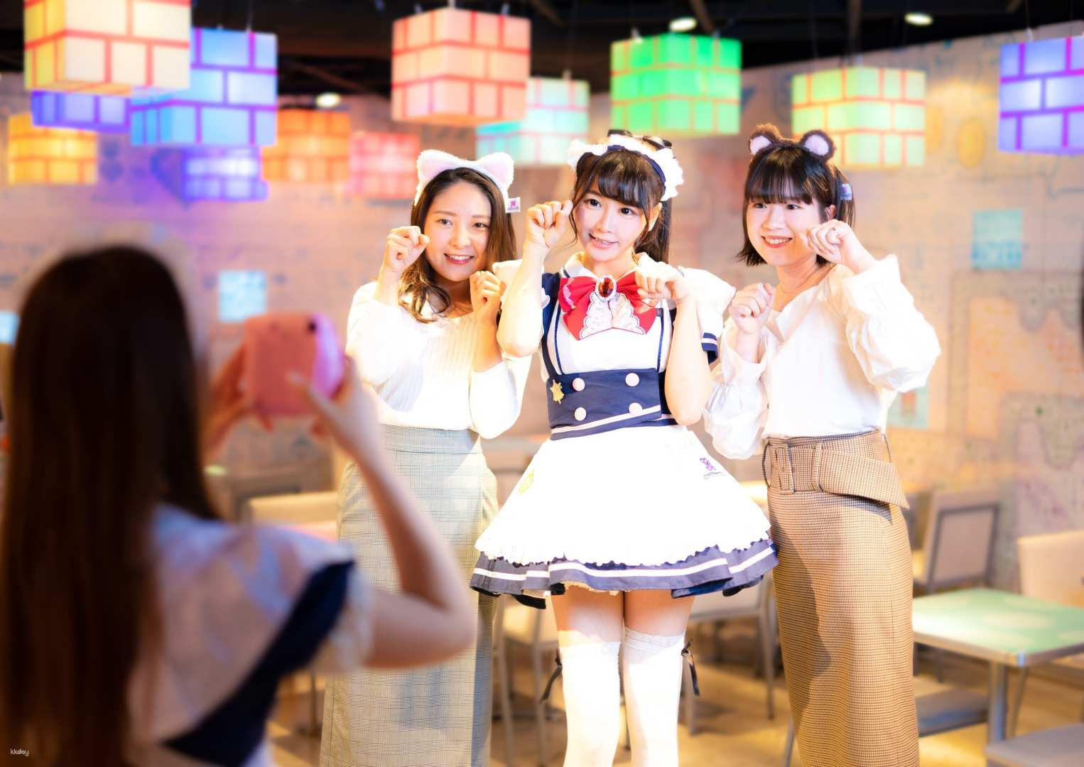 Experience playful interactions with friendly maids delightful photo opportunities and a unique blend of Japanese culture at “maidreamin” in Akihabara Shinjuku and Shibuya Tokyo.
