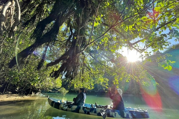 Mangrove kayaking to enjoy nature in Okinawa - Photo 1 of 8
