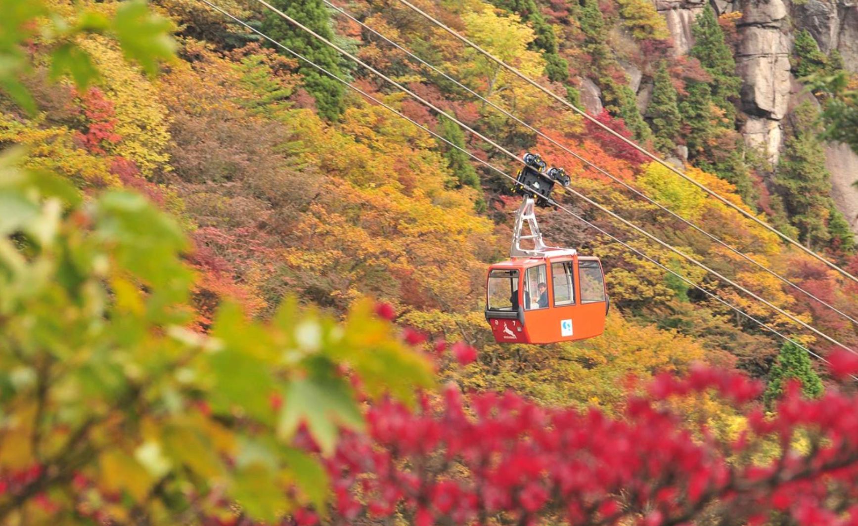 Ride the Gozaisho cable car and take in the stunning autumn colors draping the mountainside a perfect escape into nature's seasonal palette during your Osaka adventure.