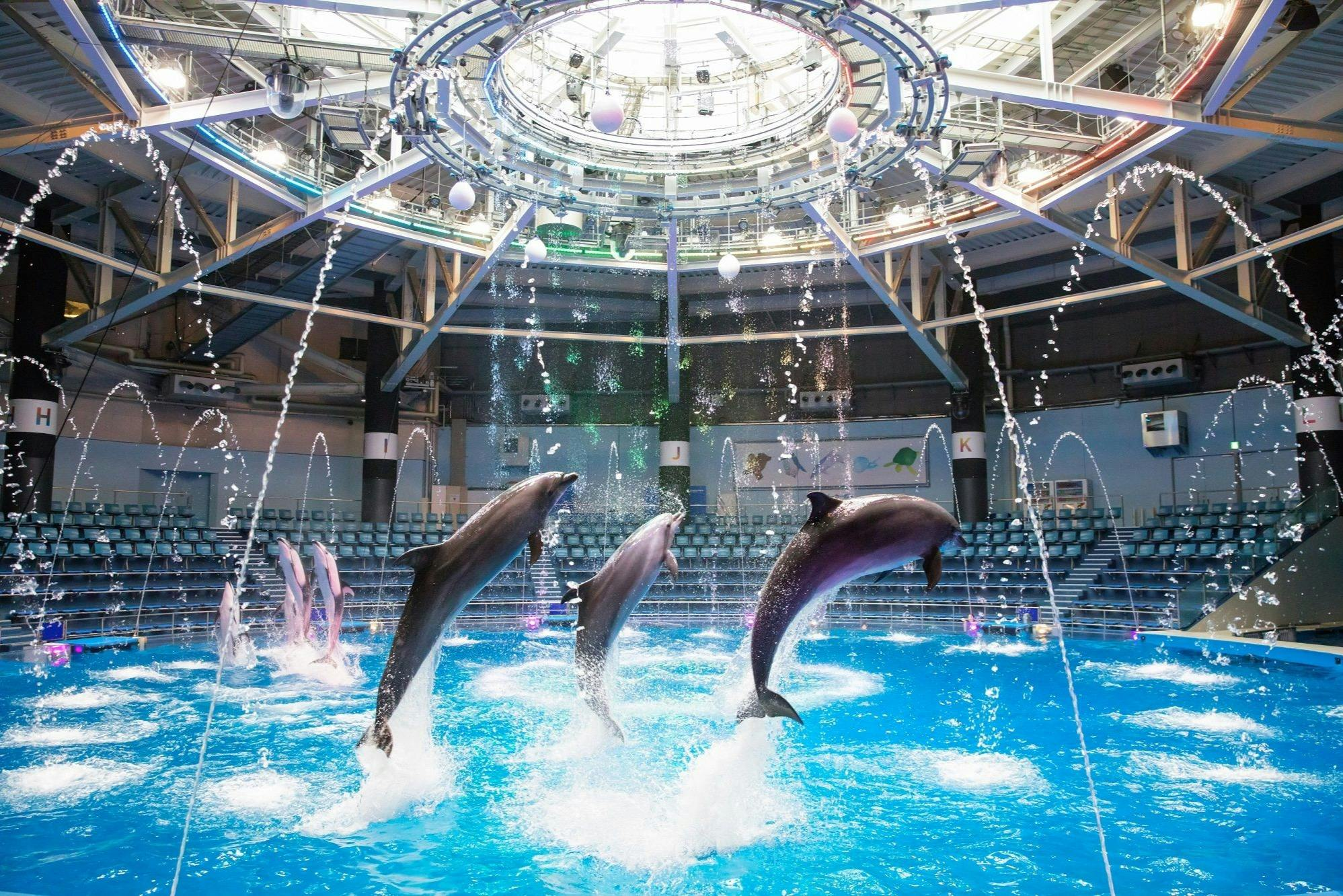 Maxell Aqua Park Shinagawa: Skip The Line Ticket + Dolphin Show - Photo 1 of 8