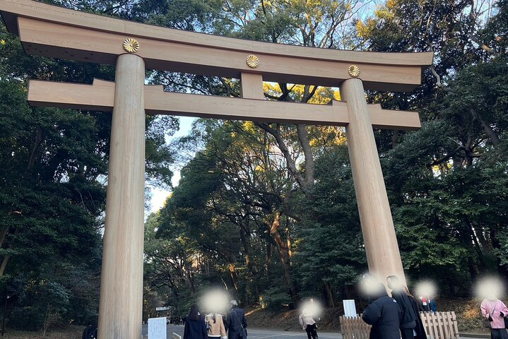 Experience the unique charm of Harajuku where tradition meets modernity. Explore the Meiji Shrine and enjoy delightful shopping and sweets as you immerse yourself in Kawaii culture.