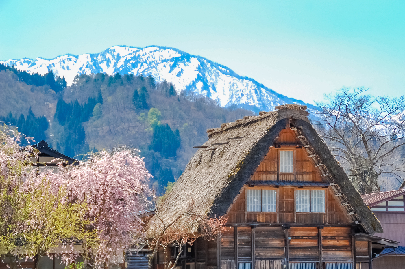 [Meitetsu Tourist Bus] Departs from Nagoya - Shirakawago and Hida Takayama Tour (meals not included, English-speaking guide available) - Photo 1 of 13