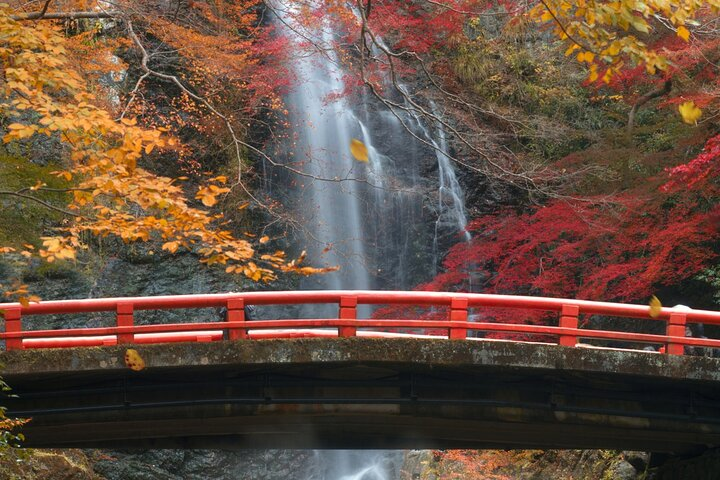 Minoo Park Adventure Private Tour: Nature, Temples & Coffee Bliss - Photo 1 of 6