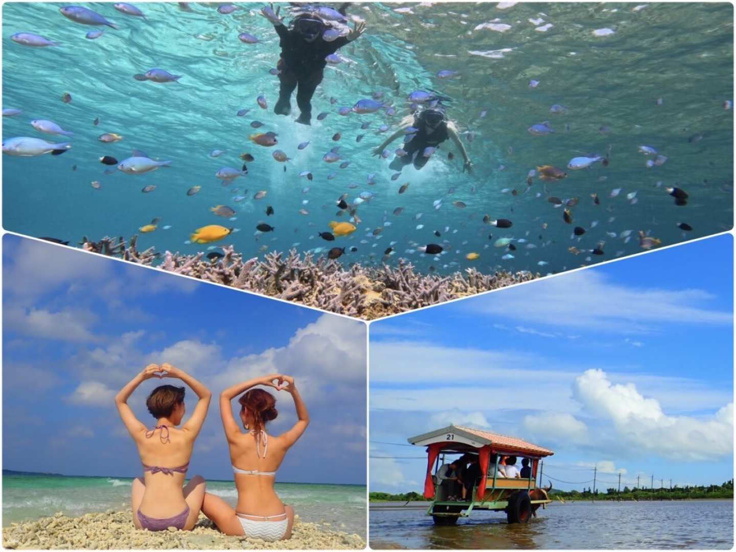 Departing from Iriomote Island | Snorkeling on the Miracle Island (Barasu Island) + Water Buffalo Carriage + Yubu Island Sightseeing (Yubu Island admission fee included, Uehara area hotel pick-up and drop-off included, free photo data) - Photo 1 of 10