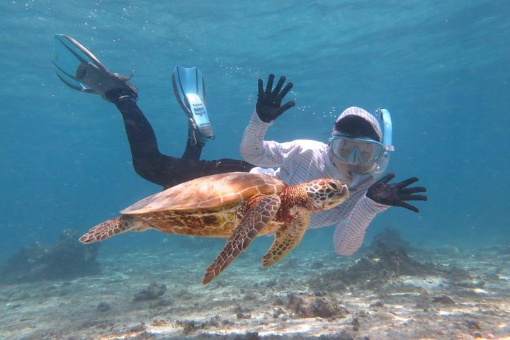 [Miyakojima Snorkel] Private tour from 2 people Let's look for sea turtles! Snorkel tour that can be enjoyed from 3 years old - Photo 1 of 7