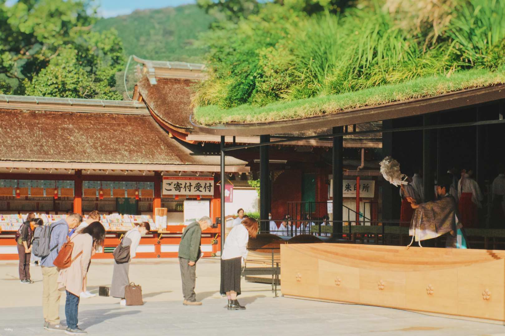 Morning Purification Ritual at Dazaifu Tenmangu by train tour - Photo 1 of 8