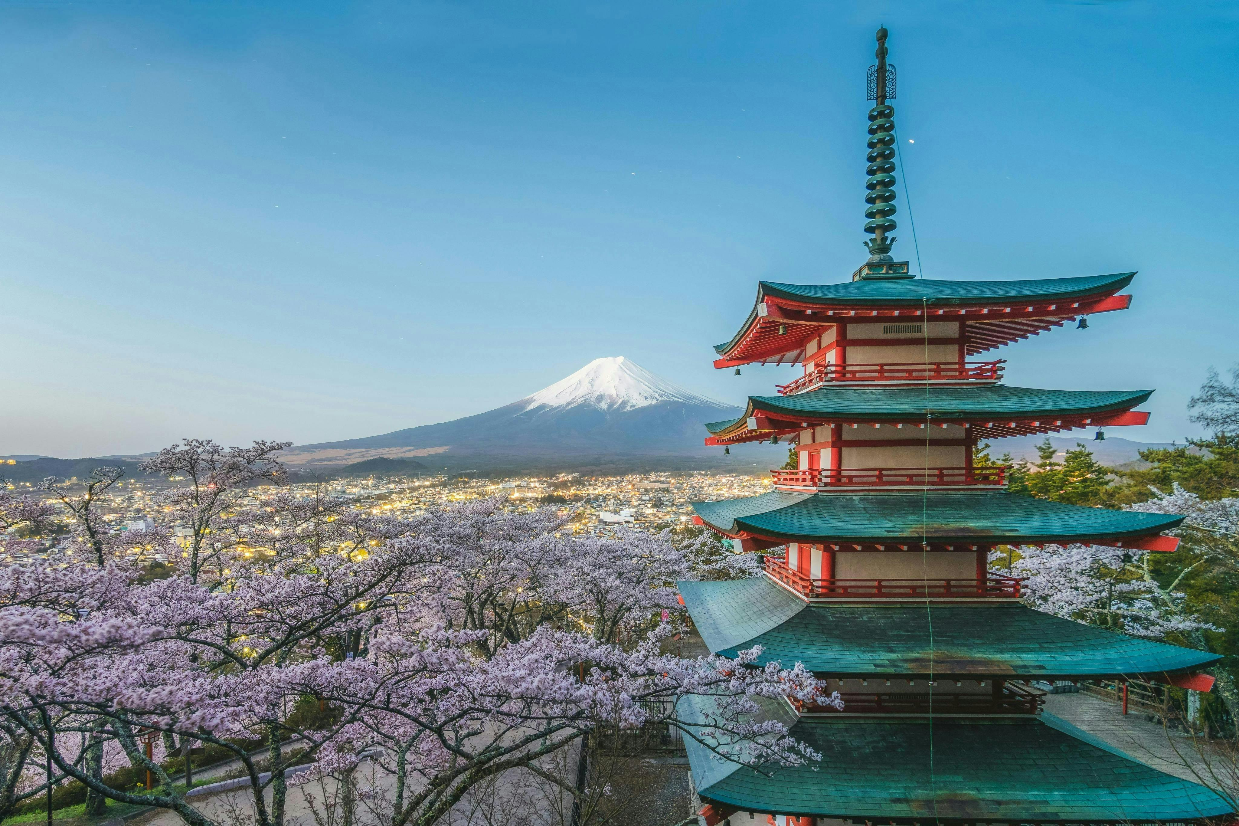 Mount Fuji: Full-Day Guided Tour from Tokyo - Photo 1 of 5
