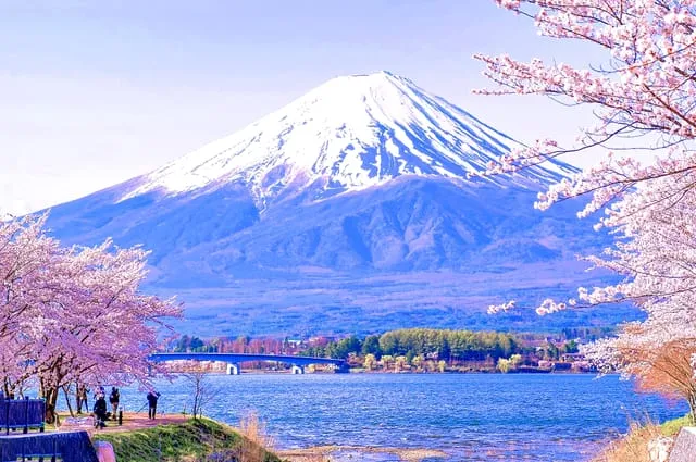 0401-0725_mount-fuji-oshino-