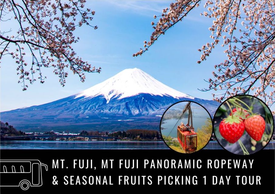 Experience the stunning beauty of Mt. Fuji while enjoying delicious seasonal fruit picking and a panoramic ropeway ride for unmatched views. Perfect for nature lovers and food enthusiasts alike.