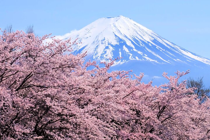 Mt. Fuji