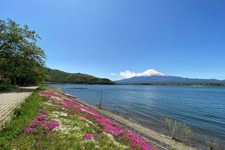 Mt Fuji Half-Day Tour By Car - Photo 1 of 6