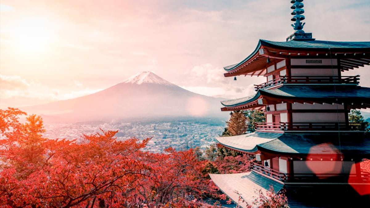 富士山 東京 の 東京：富士山、忍野八海、新倉山浅間公園、河口湖ツアー