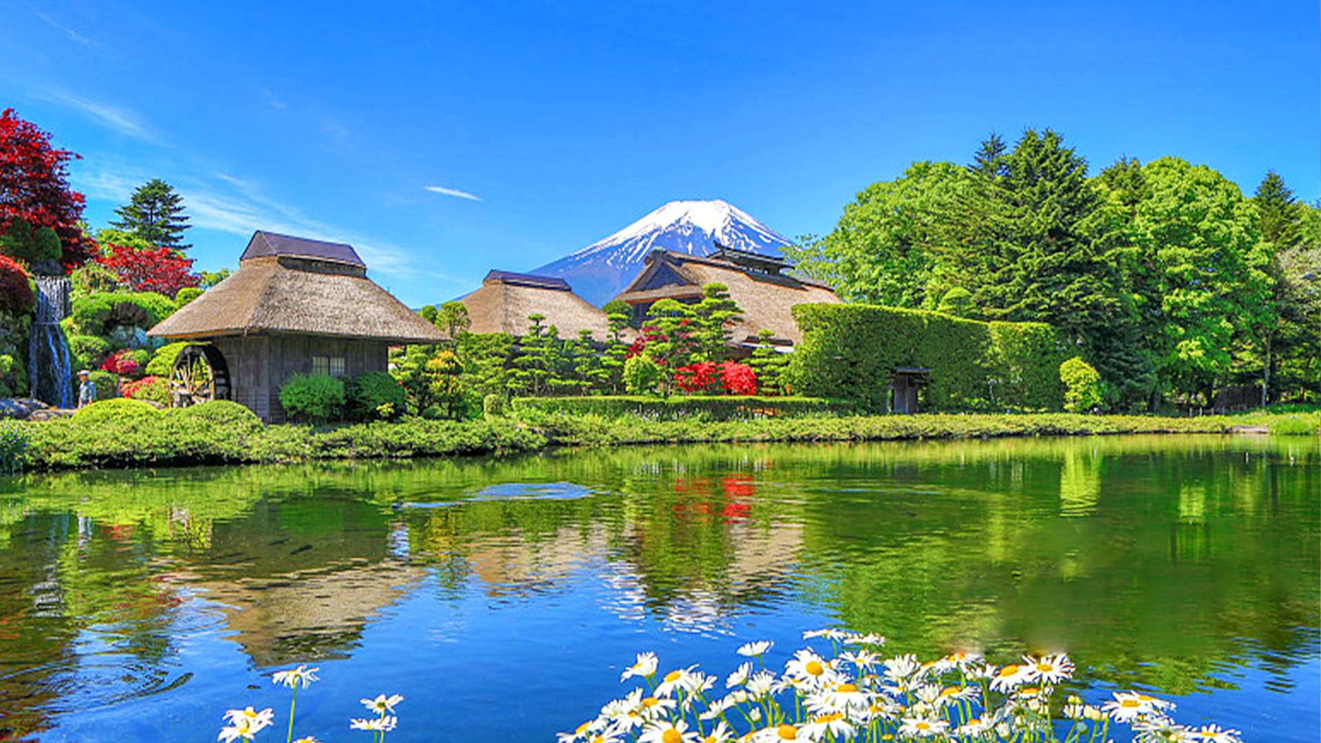 東京 の 東京：富士山、忍野八海、新倉山浅間公園、河口湖ツアー