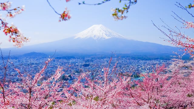 皇居、東京 2026 とその周辺でおすすめのアクティビティ