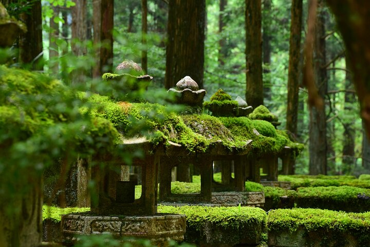 Explore the serene beauty of Mt. Koya surrounded by lush greenery and historic moss-covered lanterns perfect for independent travelers seeking a tranquil escape from Osaka.