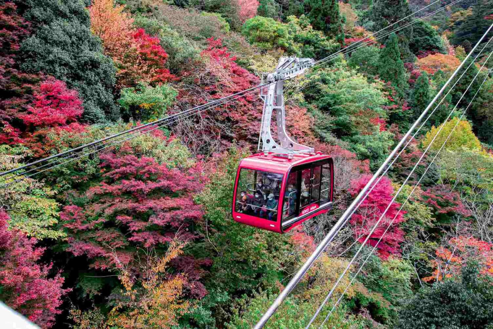 Mt. Rokko Ropeway and Cable Car Awesome Autumn 1Day Bus Tour - Photo 1 of 7