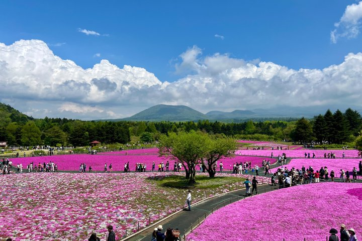 VIP Mt Fuji Tour by Luxury Car English speaking Driver Guide - Photo 1 of 4