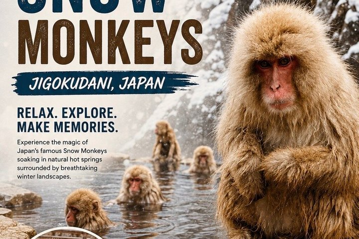 Snow Monkey Zenko Ji Temple Private Day Tour by Car From Tokyo - Photo 1 of 7