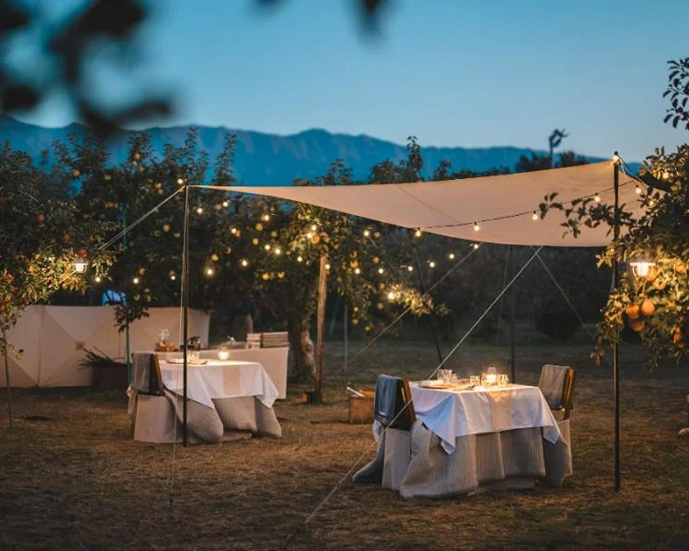 Nagano Orchard Tour - Photo 1 of 6