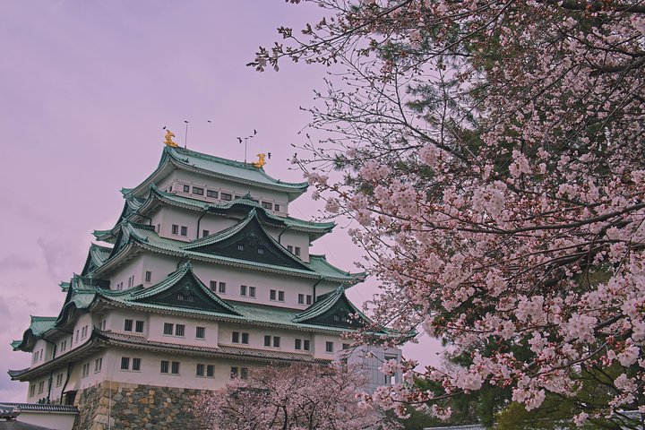 Experience the charm of Nagoya with personalized exploration where historic landmarks and blossoming scenery blend seamlessly offering a unique journey tailored to your preferences.