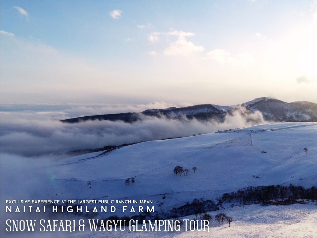 Naitai Highland Farm Snow Safari & Wagyu Glamping Tour【Naitai Highland Farm】 - Photo 1 of 6