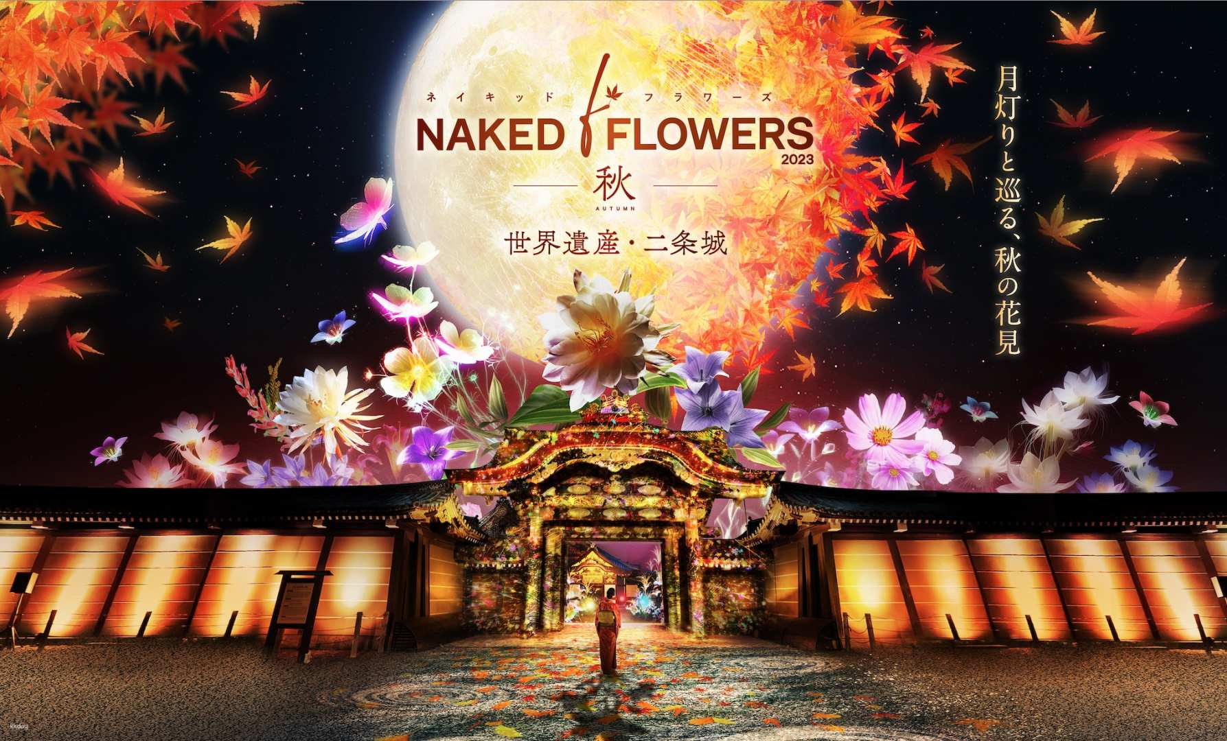 NAKED meets Nijo-jo Castle 2025 Moon Viewing - Photo 1 of 9
