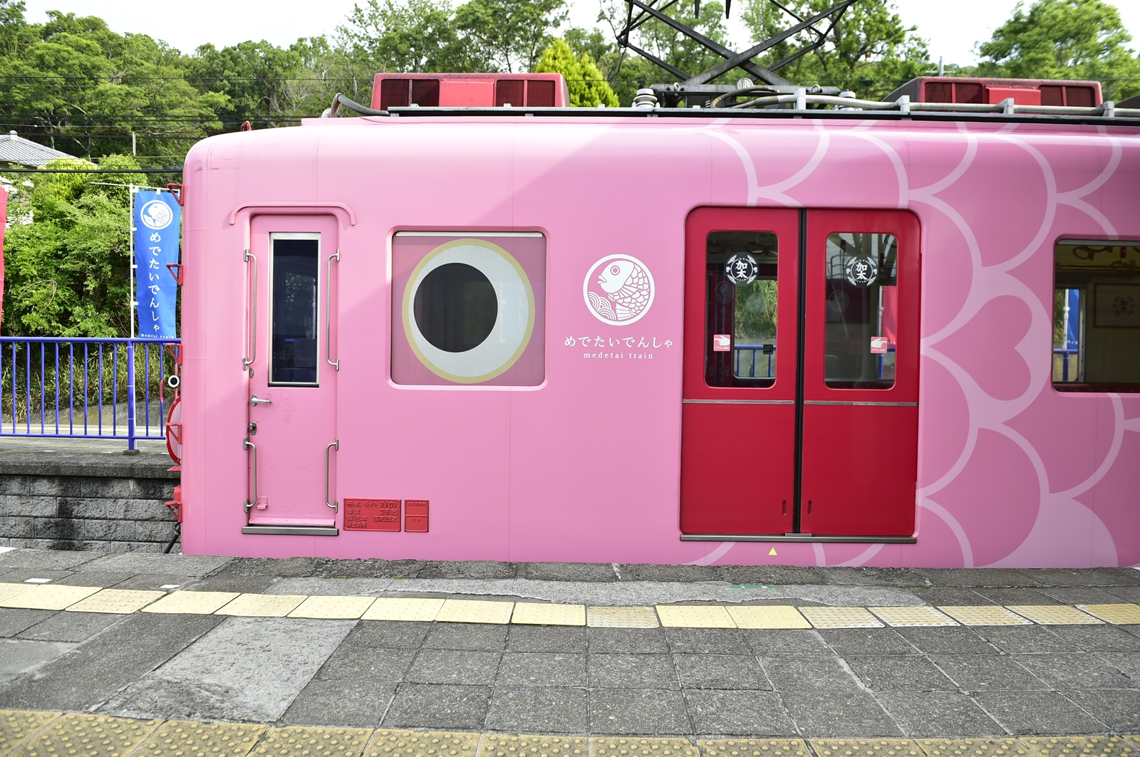 NANKAI ALL LINE 2 day Pass - Photo 1 of 4