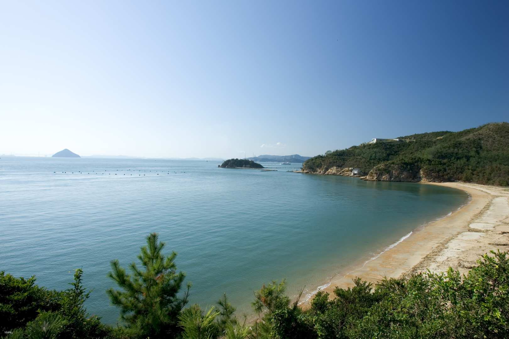 Naoshima 1 Day Cycling Tour from Takamatsu Station - Photo 1 of 5