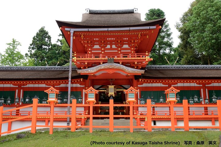 Experience the beauty of Kasuga Taisha Shrine with its striking architecture and serene surroundings while encountering the friendly deer of Nara Park in this unforgettable journey from Kyoto.