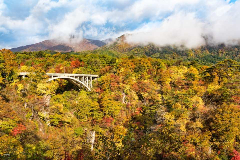 Naruko Gorge's autumn leaves and Ginzan Onsen 1 Day BUS TOUR - Photo 1 of 5