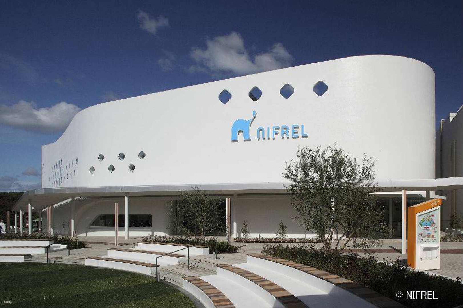 Explore NIFREL where interactive exhibits blend animals and art. Discover colorful aquatic life and friendly mammals in a unique modern setting that invites playful engagement.