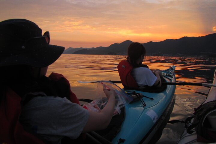 Night Kayak Tour Relax Under the Natural Glow of Sea Fireflies - Photo 1 of 6