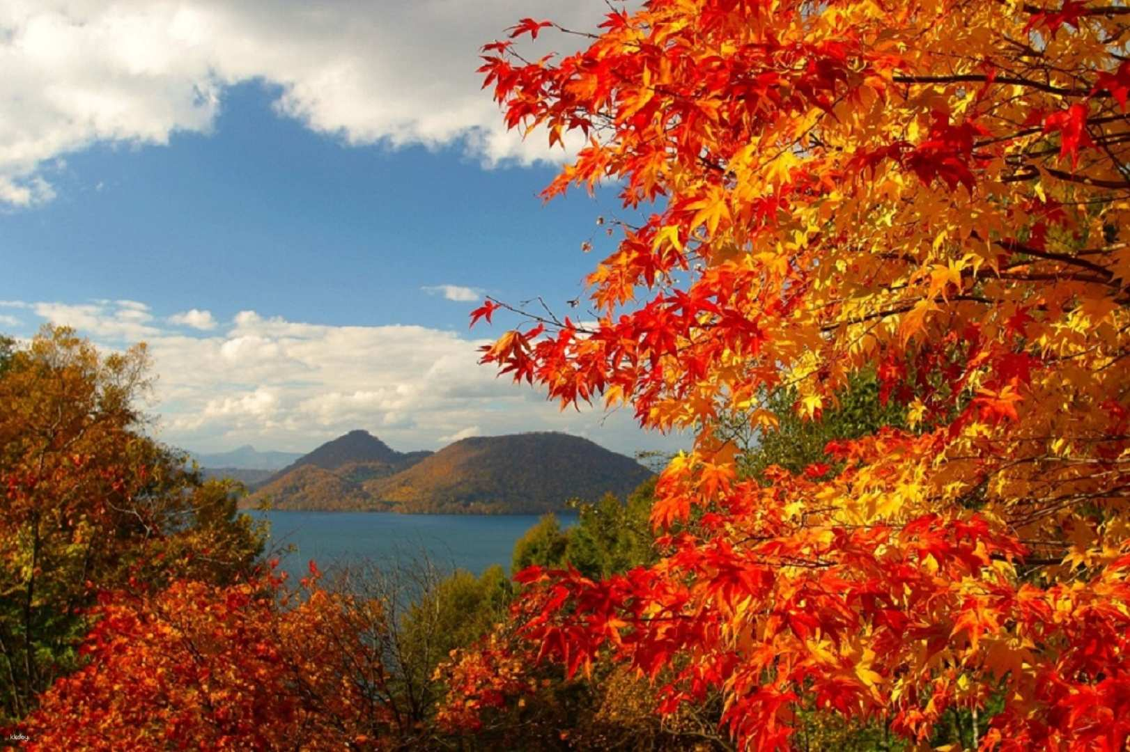 Experience the stunning contrast of fiery autumn leaves against the serene waters of Lake Toya perfectly showcasing Hokkaido's natural beauty during your Noboribetsu & Toya tour.