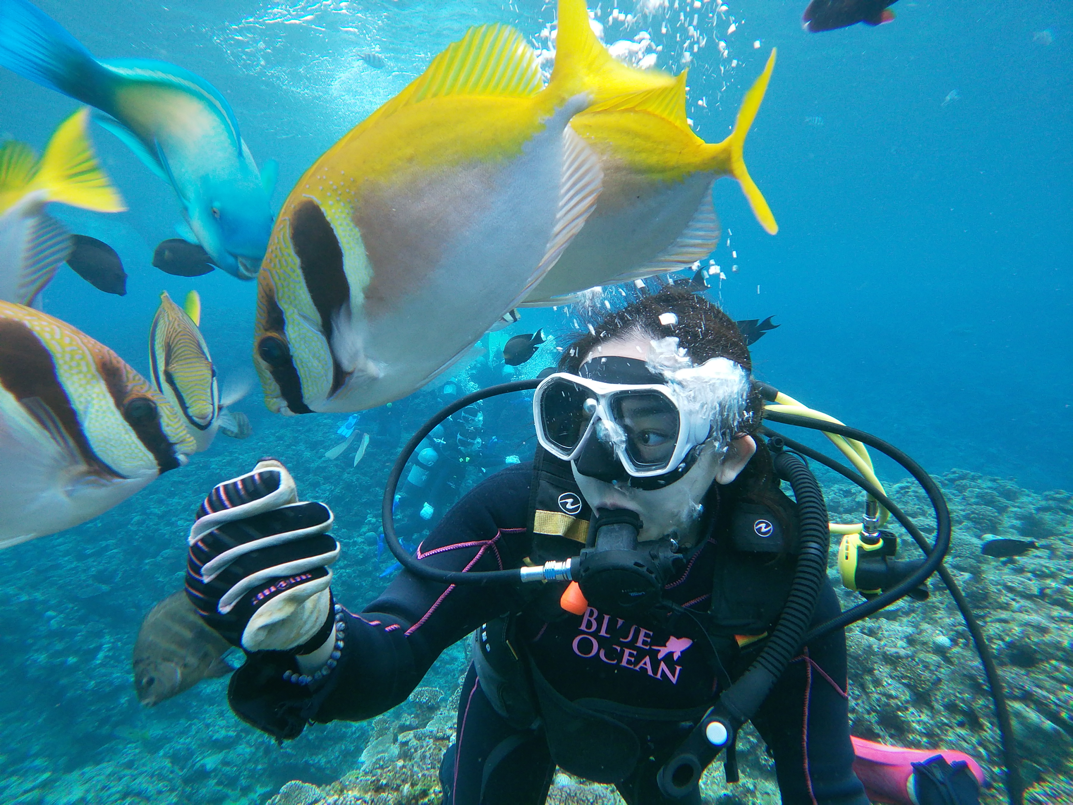 Explore the underwater world of Okinawa where colorful fish swim alongside you and unforgettable diving adventures await led by expert instructors in stunning blue waters.