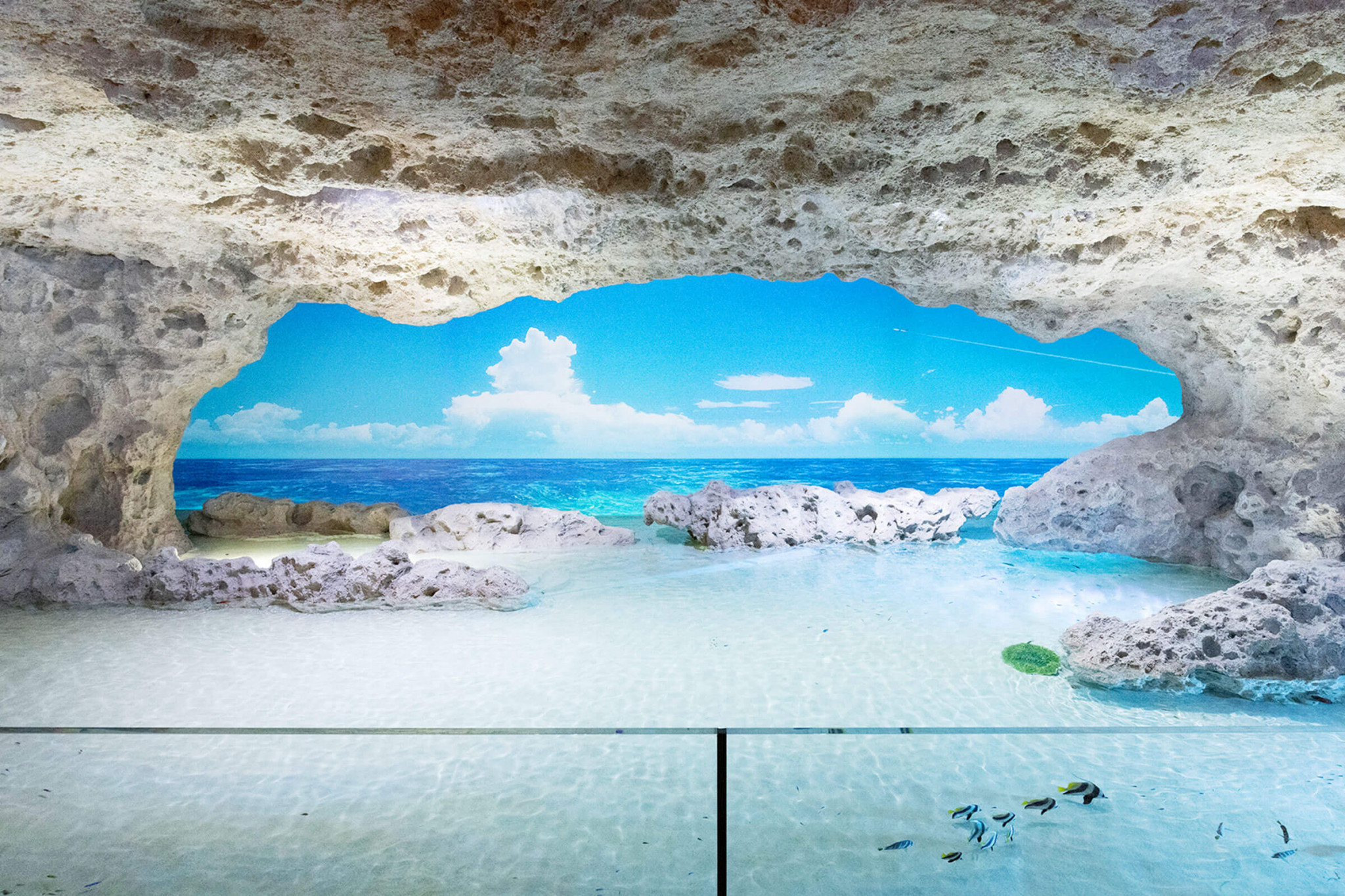 DMM Kariyushi Aquarium Ticket in Okinawa, Japan in Okinawa | Pelago
