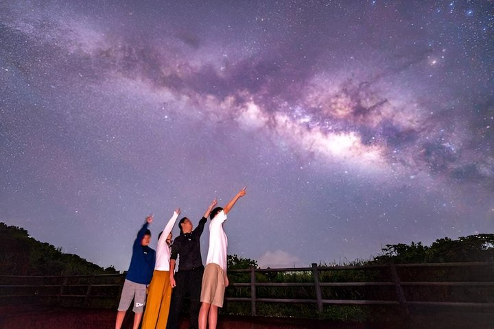 Okinawa Iriomotejima Night Adventure Tour - Photo 1 of 13