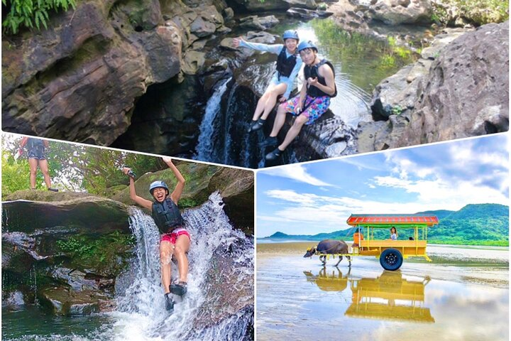 Iriomote Island 1 Day Canyoning & Yubu Island Sightseeing - Photo 1 of 20